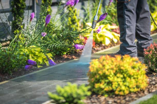 Best Sidewalk and Walkway Cleaning  in Edgecliff Village, TX